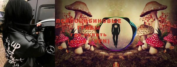 кокс Абдулино