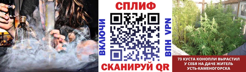 Каннабис Ganja  МЕГА ТОР  Кингисепп  наркота 